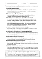 Vorschau - Arbeitsblätter - AB mit Fragen zum Thema "Elbsandsteingebirge" + Lösungsblatt + Infografik - Seite 2