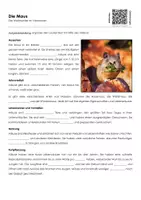 Vorschau - Arbeitsblätter - Die Maus (Materialpaket) - Seite 1