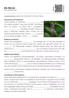 Vorschau - Arbeitsblätter - Die Mücke (Materialpaket) - Seite 1