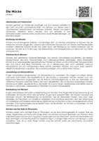 Vorschau - Arbeitsblätter - Die Mücke - Arbeitsblatt (Infotext und Übungen) - Deckblatt