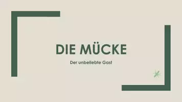Vorschau - Präsentationen/Tafelbilder - Die Mücke (Präsentation und H5P) - Deckblatt