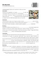 Vorschau - Arbeitsblätter - Die Muschel - Arbeitsblatt mit Erklärvideo - Seite 3