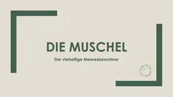 Vorschau - Präsentationen/Tafelbilder - Die Muschel (Präsentation und H5P) - Deckblatt