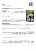 Vorschau - Arbeitsblätter - Pilze - Arbeitsblatt mit Erklärvideo - Deckblatt