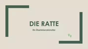 Vorschau - Präsentationen/Tafelbilder - Die Ratte (Präsentation und H5P) - Deckblatt