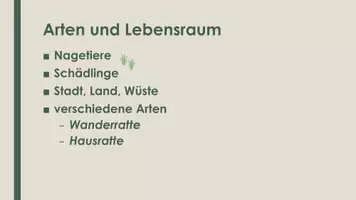 Vorschau - Präsentationen/Tafelbilder - Die Ratte (Präsentation und H5P) - Seite 2