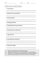 Vorschau - Arbeitsblätter - AB mit Fragen zum Thema "Enten" + Lösungsblatt + Infografik - Deckblatt