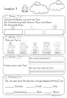 Vorschau - Arbeitsblätter - Tägliches Lesetraining für Klasse 1 & 2 Frühling - Frosch Fridolin - Seite 3