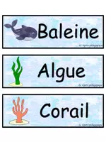 Aperçu - Jeux - Mots-étiquettes Océan - Page 3