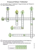 Vorschau - Arbeitsblätter - Kreuzworträtsel: Frühblüher im Sachunterricht - Seite 3