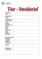 Vorschau - Arbeitsblätter - Tierbeschreibung: REGENWURM Info-Text, Steckbrief, Rätsel & Quiz - Seite 3