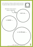 Aperçu - Feuilles d'exercices - Cahier interactif recherche sur un animal - 2e cycle - Page 3