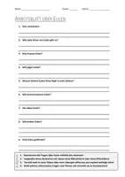 Vorschau - Arbeitsblätter - Lernposter + AB mit Fragen zum Thema "Eulen" + Lösungsblatt + Infografik - Seite 1