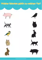 Vorschau - Arbeitsblätter - Wahrnehmung und Logik Tiere - Wahrnehmungsübungen Kita Vorschule - Seite 1