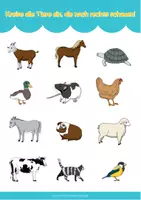 Vorschau - Arbeitsblätter - Wahrnehmung und Logik Tiere - Wahrnehmungsübungen Kita Vorschule - Seite 3