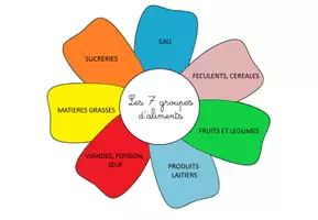Aperçu - Apprentissages en autonomie - La fleur des aliments - Page 2