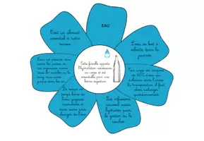 Aperçu - Apprentissages en autonomie - La fleur des aliments - Page 3