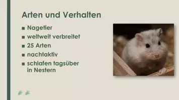 Vorschau - Präsentationen/Tafelbilder - Der Hamster (Präsentation und H5P) - Seite 1