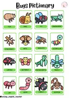 Vista previa - Hojas de trabajo - PACK: BUGS & INSECTS - página 2