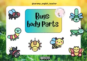 Vista previa - Tarjetas / Manipulativos - BUGS BODY PARTS - página 1