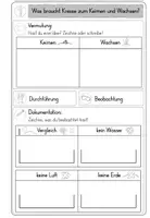 Vorschau - Arbeitsblätter - Wachstum und Keimung von Pflanzen/Kresse - Forscherarbeitsblatt - Seite 3