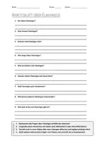 Vorschau - Arbeitsblätter - AB mit Fragen zum Thema "Flamingos" + Lösungsblatt + Infografik - Deckblatt