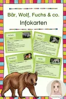 Vorschau - Stationenlernen - Bär, Wolf, Fuchs & co. - Infokarten - Deckblatt