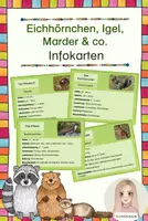 Vorschau - Stationenlernen - Eichhörnchen, Igel, Marder & co. - Infokarten - Deckblatt