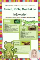 Vorschau - Text - Frosch, Kröte, Molch & co. - Infokarten - Deckblatt