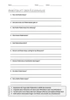 Vorschau - Arbeitsblätter - AB mit Fragen zum Thema "Fledermäuse" + Lösungsblatt + Infografik - Deckblatt