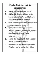 Vorschau - Stundenentwürfe - Grundaufbau Pflanzen- Aufgabe Sprossachse - Seite 1