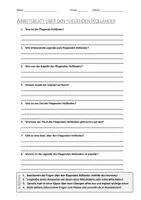 Vorschau - Arbeitsblätter - Lernposter + AB mit Fragen zum Thema "Fliegender Holländer" + Lösungsblatt + Mindmap + Infografik - Seite 2
