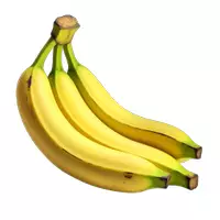 Vorschau - Mal- und Bastelvorlagen - Dschungel Klassen-Deko - Poster, Malseiten und Clipart - Seite 2