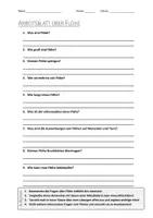 Vorschau - Arbeitsblätter - AB mit Fragen zum Thema "Flöhe" + Lösungsblatt + Infografik - Deckblatt