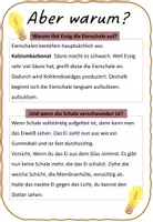 Vorschau - Experimente - Das nackte Ei Experiment - Seite 3