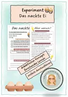 Vorschau - Experimente - Das nackte Ei Experiment - Deckblatt