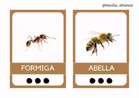Vista previa - Tarjetas / Manipulativos - INSECTES: consciència sil·làbica - página 3