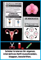 Vorschau - Stundenentwürfe - SEXUALITÄT - PUBERTÄT - FORTPFLANZUNG | Der Mensch - Interaktives Heft | Sexualhormone – Körperliche Veränderungen – Geschlechtsorgane Funktionen – Menstruation – Zyklusphasen – Körperhygiene – Zeugung - Geburt - Seite 1