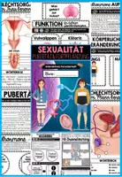 Vorschau - Stundenentwürfe - SEXUALITÄT - PUBERTÄT - FORTPFLANZUNG | Der Mensch - Interaktives Heft | Sexualhormone – Körperliche Veränderungen – Geschlechtsorgane Funktionen – Menstruation – Zyklusphasen – Körperhygiene – Zeugung - Geburt - Seite 2
