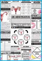 Vorschau - Stundenentwürfe - SEXUALITÄT - PUBERTÄT - FORTPFLANZUNG | Der Mensch - Interaktives Heft | Sexualhormone – Körperliche Veränderungen – Geschlechtsorgane Funktionen – Menstruation – Zyklusphasen – Körperhygiene – Zeugung - Geburt - Seite 3