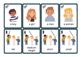 Aperçu - Jeux - Flashcards - Describing people - The British Fox - Page 3