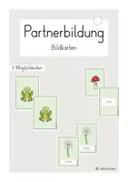 Vorschau - Poster - Organisation im Sportunterricht - wachsendes Materialpaket - Seite 1