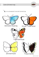 Vorschau - Arbeitsblätter - Komplettpaket Schmetterling 1./2. Klasse (2-fach differenziert) - Seite 3