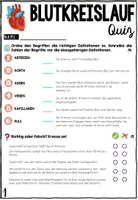 Vorschau - Arbeitsblätter - Blutkreislauf - Herz-Kreislaufsystem - Der Mensch | Test | Quiz - Arbeitsblätter - Seite 2