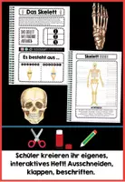 Vorschau - Unterrichtsreihen - Das Skelett BUNDLE | Der Mensch - digital + analog - Distanzunterricht + Homeschooling | Sofort einsetzbar - Seite 2