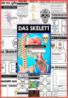Vorschau - Unterrichtsreihen - Das Skelett BUNDLE | Der Mensch - digital + analog - Distanzunterricht + Homeschooling | Sofort einsetzbar - Seite 3