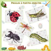Vista previa - Juegos / Gamificación - LOS INSECTOS - AGUDEZA VISUAL: Simetrías. - Portada