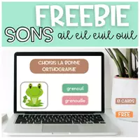 Aperçu - Jeux - BOOM CARDS Sons ail eil euil ouil GRATUIT - Page de couverture