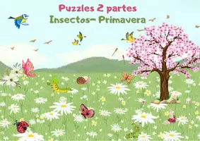 Vista previa - Juegos / Gamificación - LOS INSECTOS - AGUDEZA VISUAL: Simetrías. - página 1