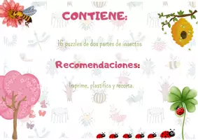 Vista previa - Juegos / Gamificación - LOS INSECTOS - AGUDEZA VISUAL: Simetrías. - página 3